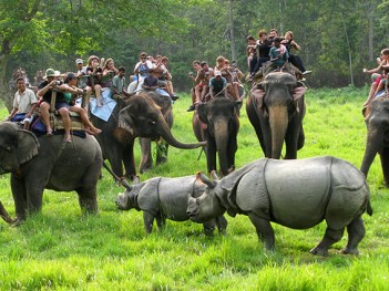 chitwan 1